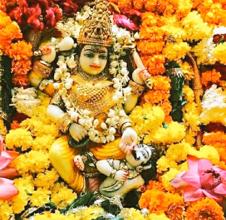 Maa Pitambara Devi Pujan Jap